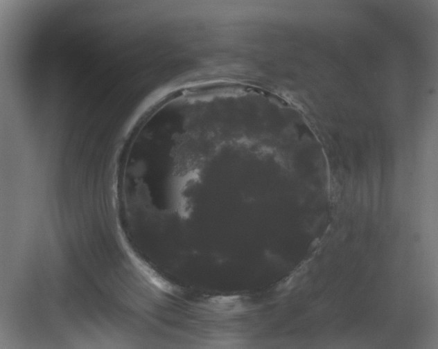 X0000082940054200702081634