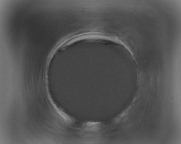 X0000082940055200702081634