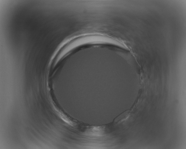 X0000082940056200702081634