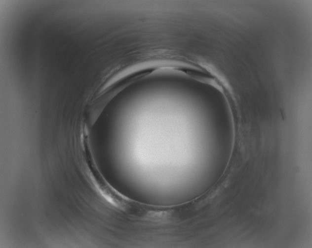 X0000082940057200702081634