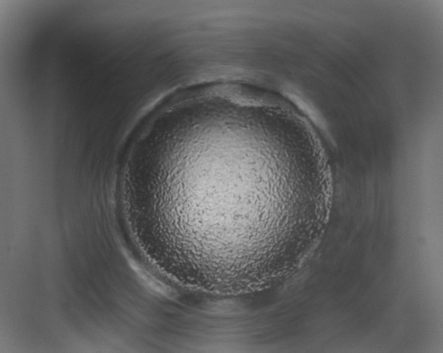 X0000082940058200702081634