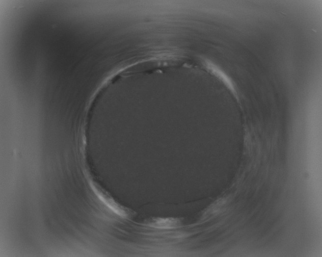 X0000082940059200702081634