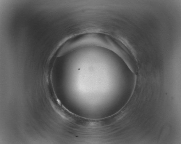 X0000082940060200702081634