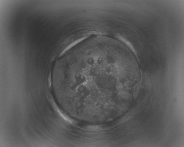 X0000082940061200702081634