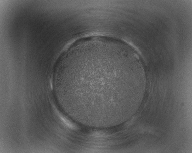 X0000082940062200702081634