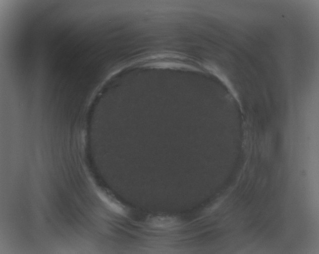 X0000082940063200702081634