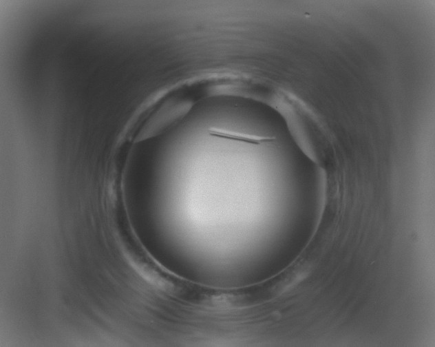 X0000082940064200702081634