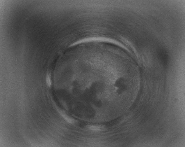 X0000082940069200702081634