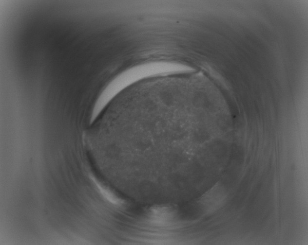 X0000082940070200702081634