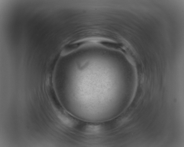 X0000082940071200702081634