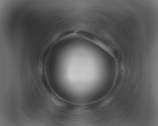 X0000082940072200702081634