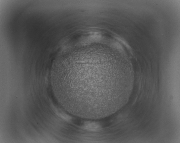 X0000082940073200702081634