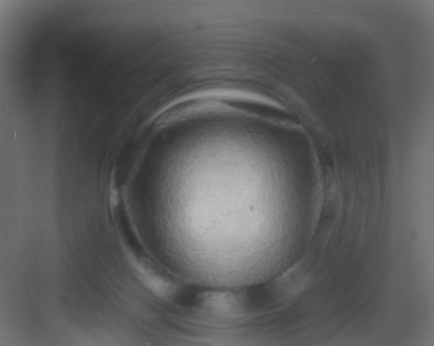 X0000082940074200702081634