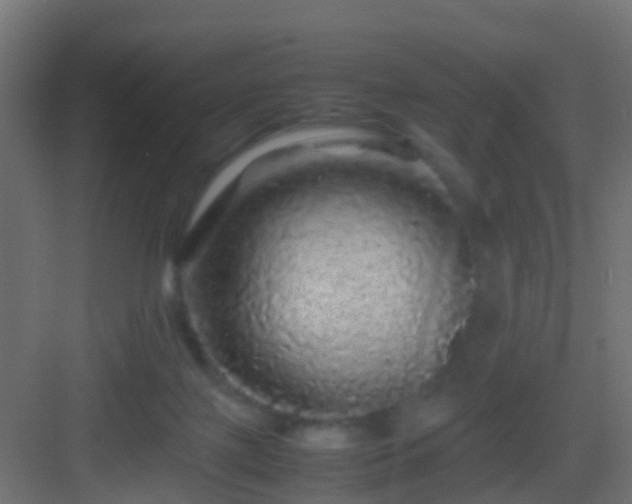 X0000082940075200702081634