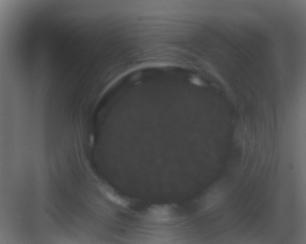 X0000082940076200702081634