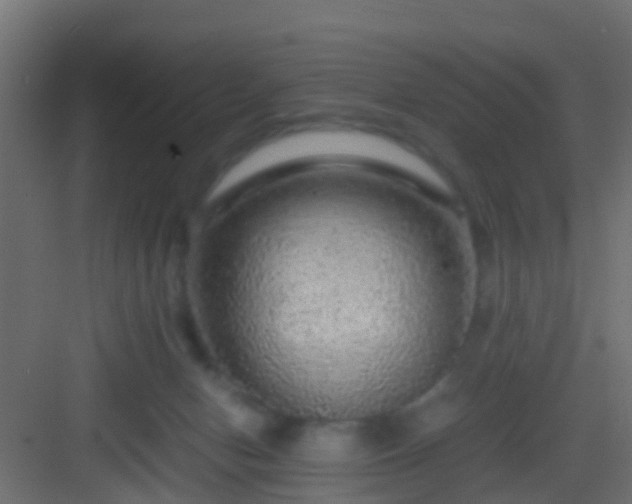 X0000082940078200702081634