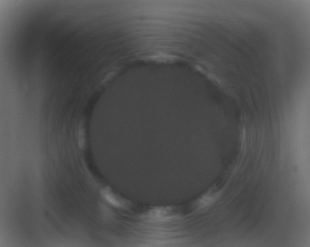 X0000082940080200702081634