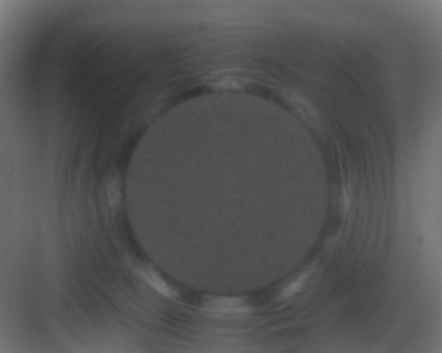 X0000082940081200702081634