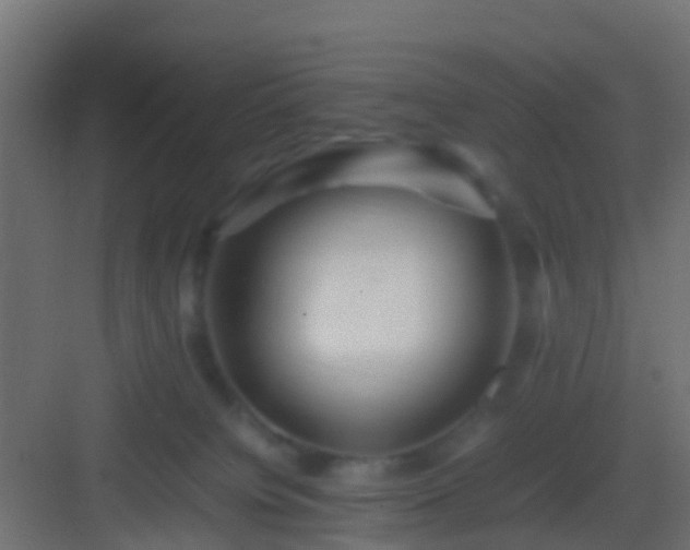 X0000082940084200702081635