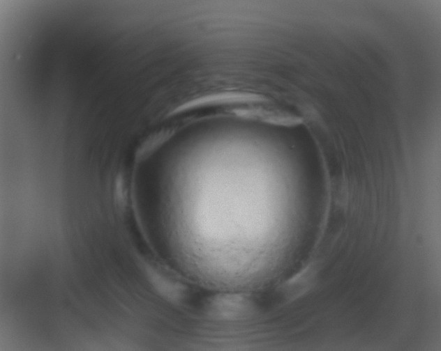 X0000082940086200702081635