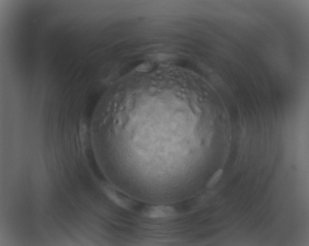 X0000082940087200702081635