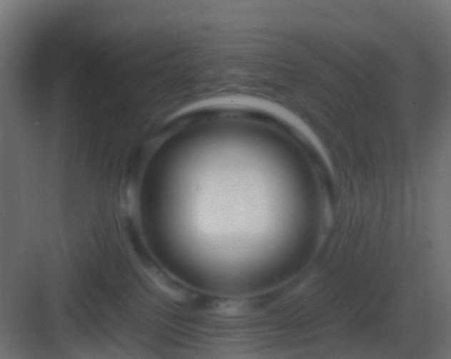 X0000082940088200702081635