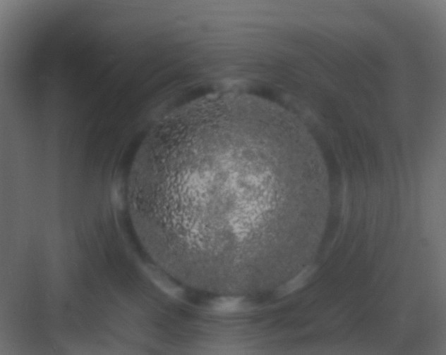 X0000082940090200702081635