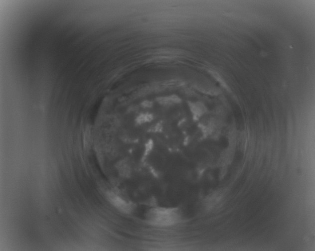 X0000082940093200702081635