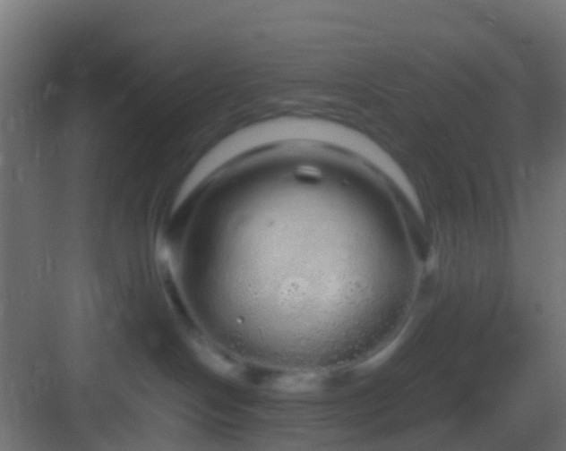 X0000082940094200702081635