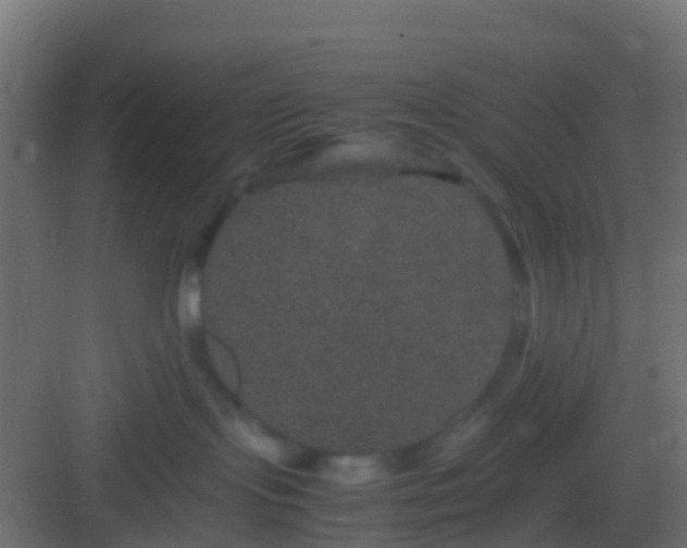 X0000082940095200702081635