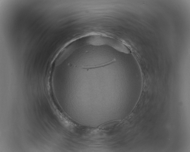 X0000082940098200702081634