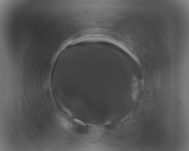 X0000082940099200702081634