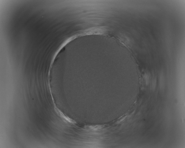 X0000082940100200702081634