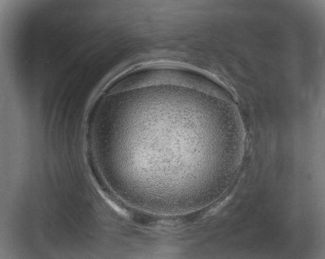 X0000082940101200702081634