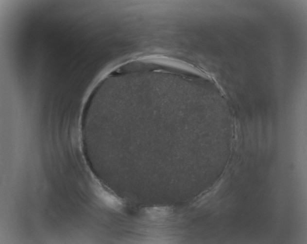 X0000082940102200702081634