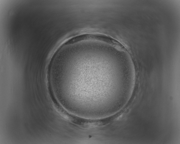 X0000082940103200702081634