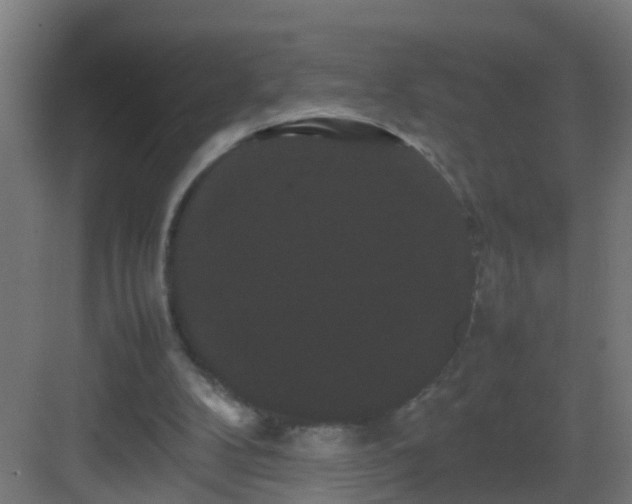 X0000082940104200702081634