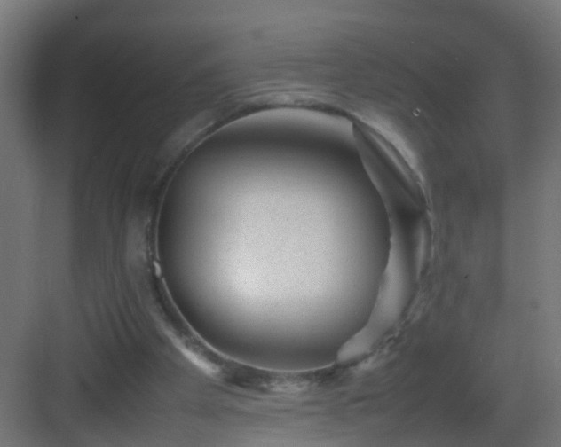 X0000082940105200702081634