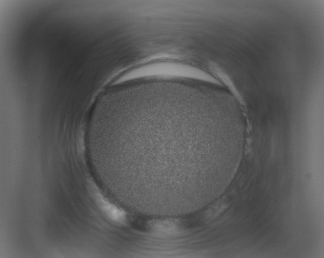 X0000082940106200702081634