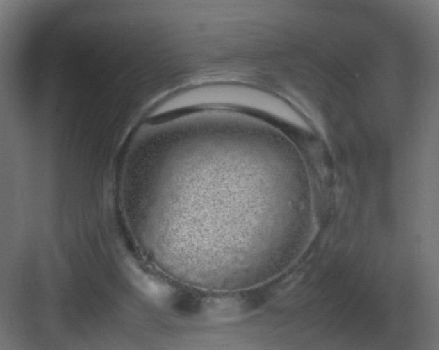 X0000082940107200702081634