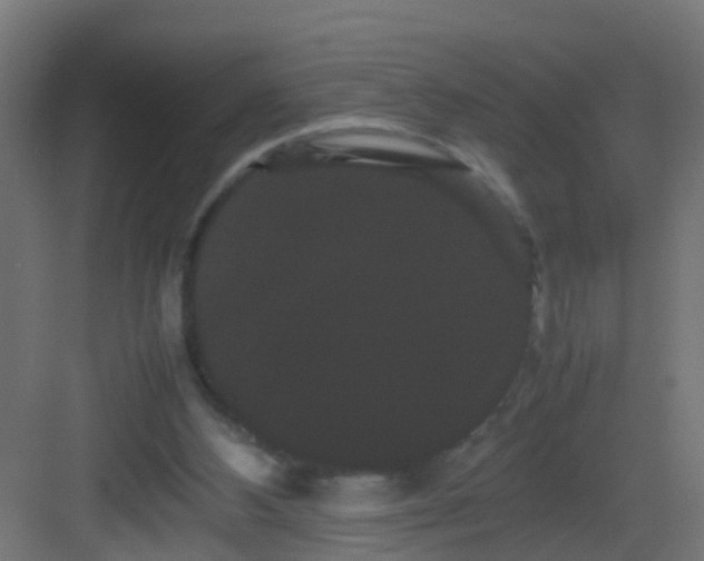 X0000082940108200702081634