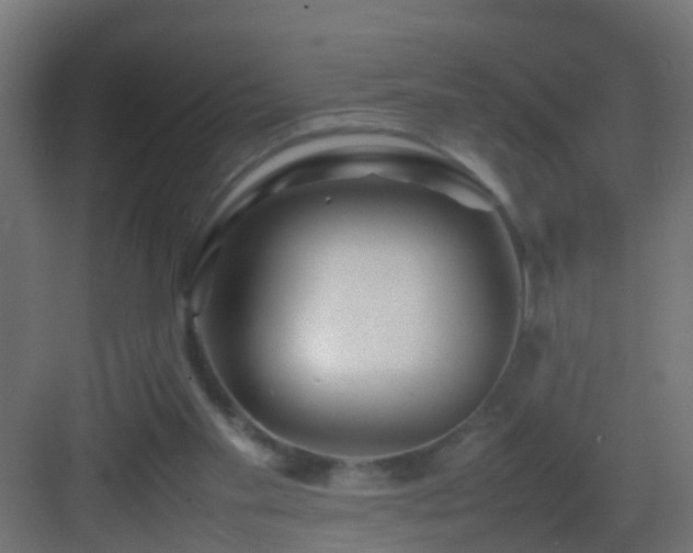 X0000082940109200702081634