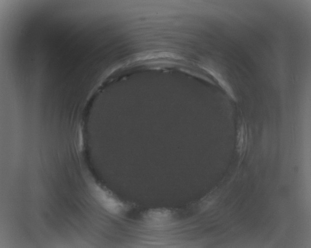 X0000082940110200702081634