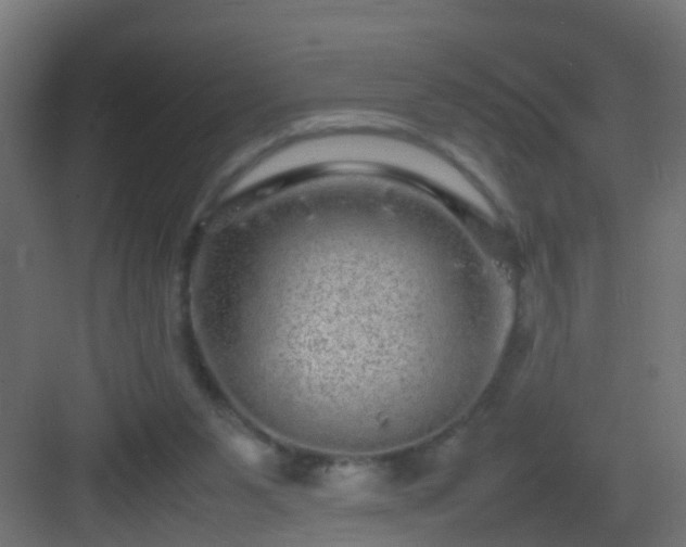 X0000082940111200702081634