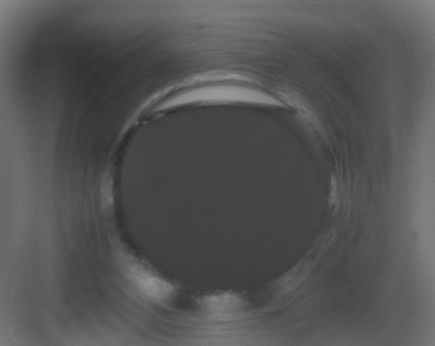 X0000082940112200702081634