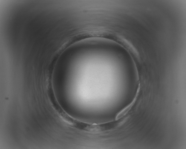 X0000082940113200702081634