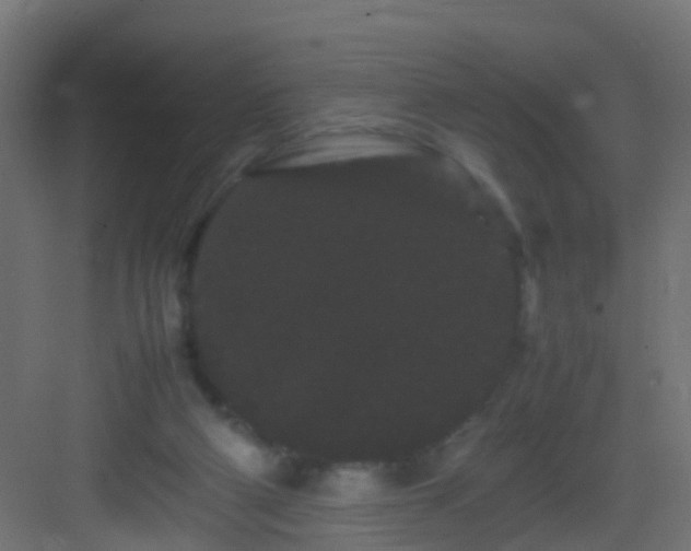 X0000082940114200702081634