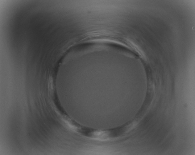 X0000082940117200702081634