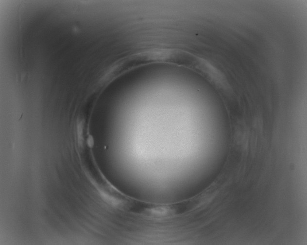 X0000082940118200702081634