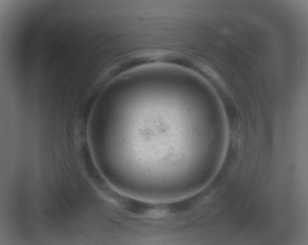 X0000082940119200702081634